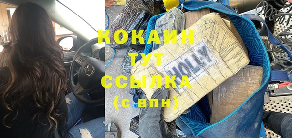 стаф Гусь-Хрустальный