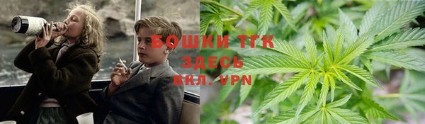 стаф Гусь-Хрустальный