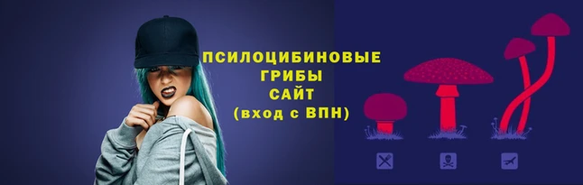 стаф Гусь-Хрустальный