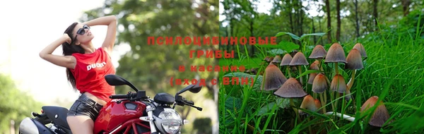 каннабис Гусиноозёрск