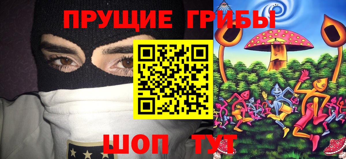 Похвистнево  продажа наркотиков  Вход с VPN  Галлюциногенные грибы прущие грибы 