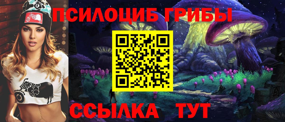 Псилоцибиновые грибы прущие грибы Похвистнево
